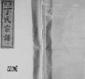 1992年修贞溪丁氏宗谱[8卷及卷首]浙江缙云丁姓电子版族谱下载