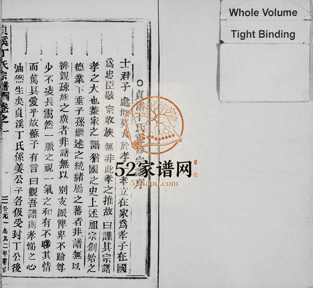 1992年修贞溪丁氏宗谱[8卷及卷首]浙江缙云丁姓电子版族谱下载