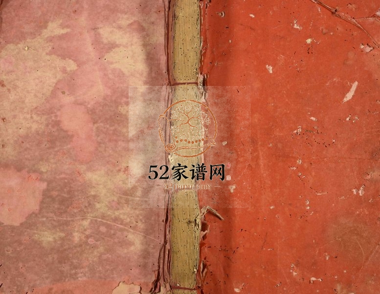 1928年赖氏五修族谱 浙江丽水 松阳赖姓电子版家谱下载