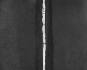 1912年重修天水郡赵氏宗谱[不分卷]浙江平阳赵姓电子版族谱下载