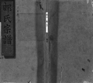1919年修华溪义丰乡三门郎氏宗谱[12卷]浙江永康郎姓电子版族谱下载