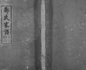 1840年修东邑灵峰邹氏宗谱 浙江建德敦睦堂邹姓电子版族谱下载