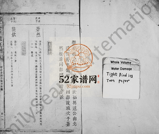 1948年鄢氏重修族谱 江西吉安 浙江金华鄢姓电子版家谱下载