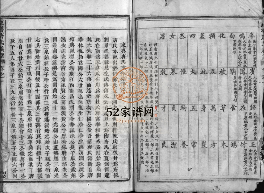 1900年重修兰江东鲁唐氏族谱[20卷]浙江兰溪唐姓电子版家谱下载
