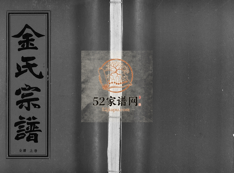1995年重修金氏宗谱[不分卷]浙江永康 武义金姓电子版族谱下载