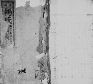 1875年重修钟川杨氏宗谱[残卷]浙江永嘉杨姓电子版族谱下载