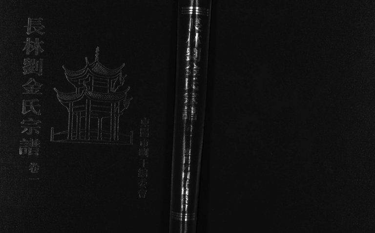 2004年重修长林刘金氏宗谱[4卷]浙江东阳金姓电子版族谱下载