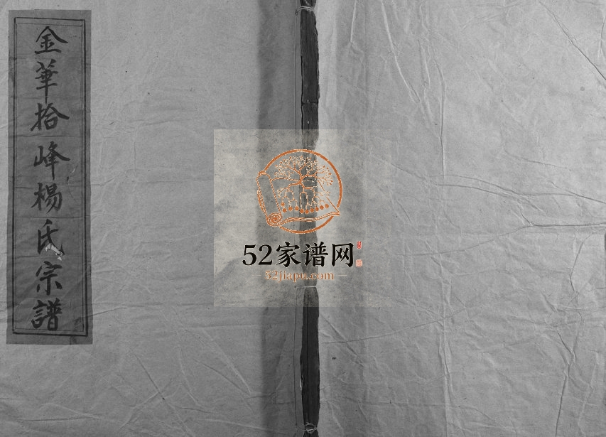 1926年修关西杨氏宗谱 浙江兰溪清白堂杨姓电子版族谱下载