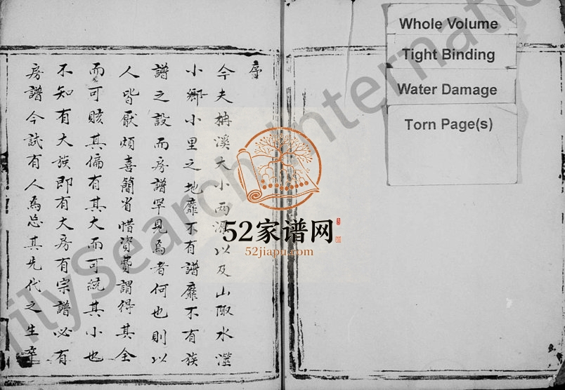 (陈氏)宽二二公派下房谱 浙江永嘉陈姓pdf电子版族谱下载