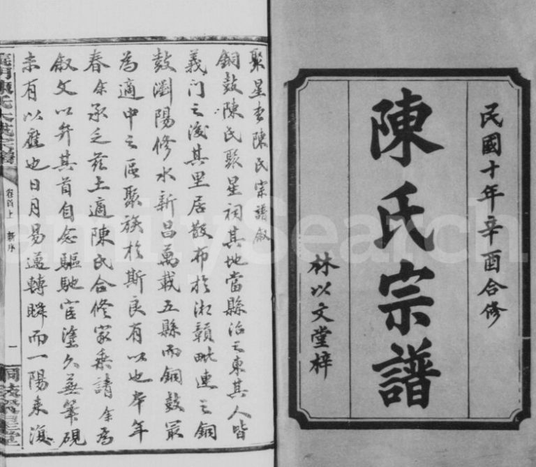 1921年修陈氏宗谱[20卷首4卷]铜鼓 修水 万载 浏阳 新昌聚星堂陈姓电子版族谱下载
