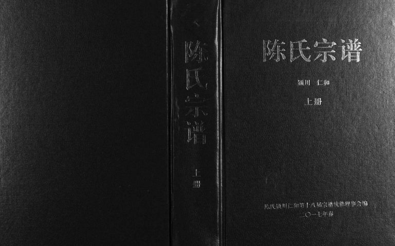 2017年十八修陈氏宗谱 浙江缙云陈姓pdf电子版族谱下载