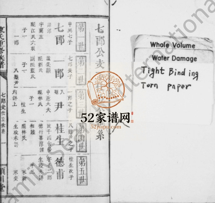 陈氏族谱[残卷]湖南浏阳 浙江金华颖川堂陈姓电子版家谱下载