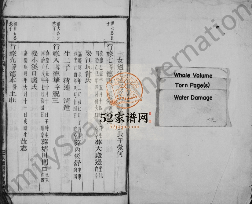 1916年修汤山陶氏宗谱[残卷]浙江陶姓电子版族谱下载